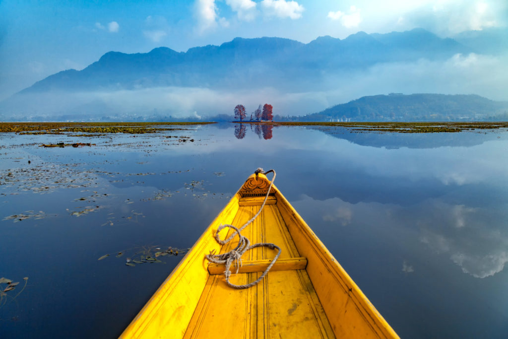 A,Yellow,Shikara,Boat,Heading,Chaar,Chenar,Bagh(park),At,Dal